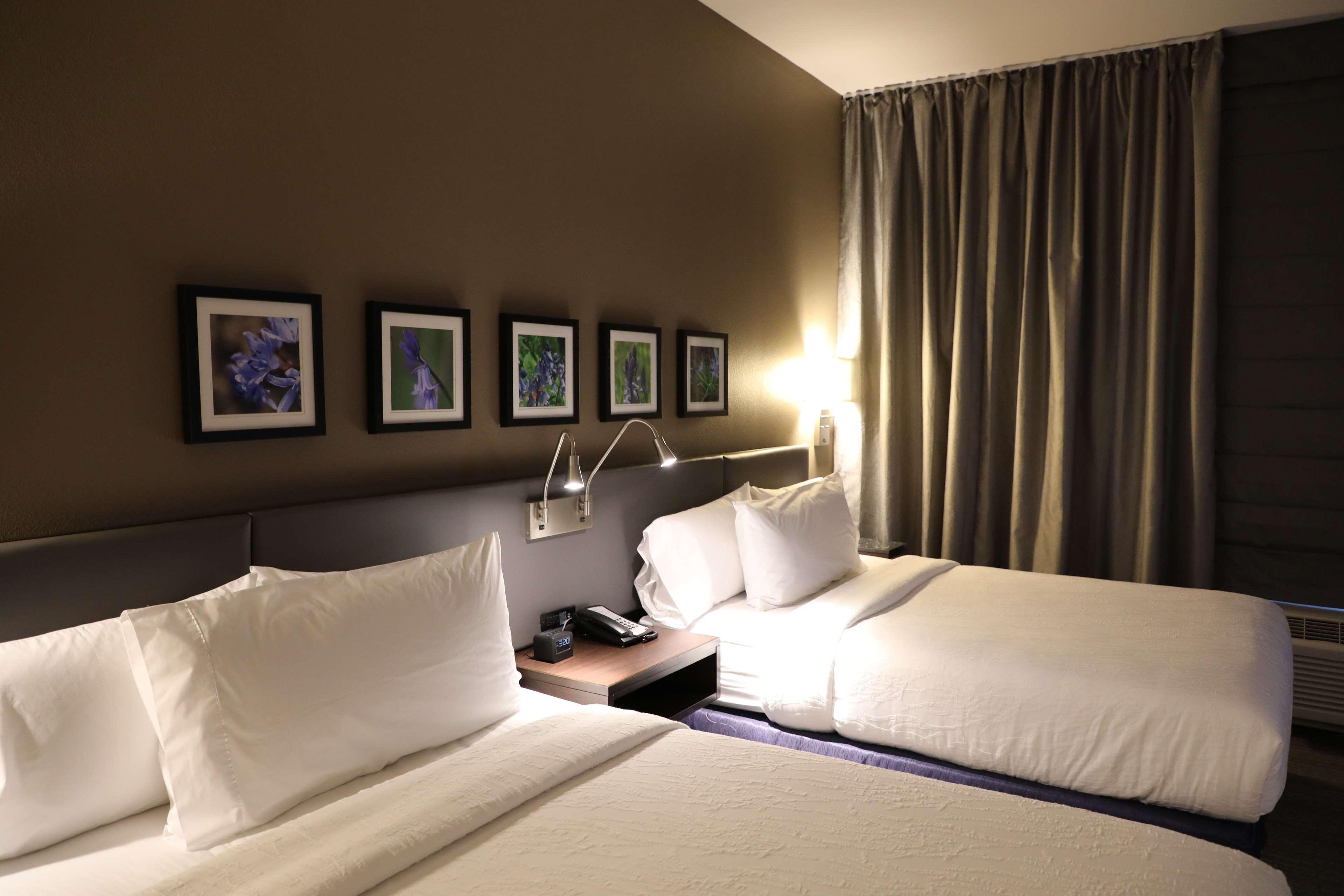 Hilton Garden Inn Austin Airport Ngoại thất bức ảnh