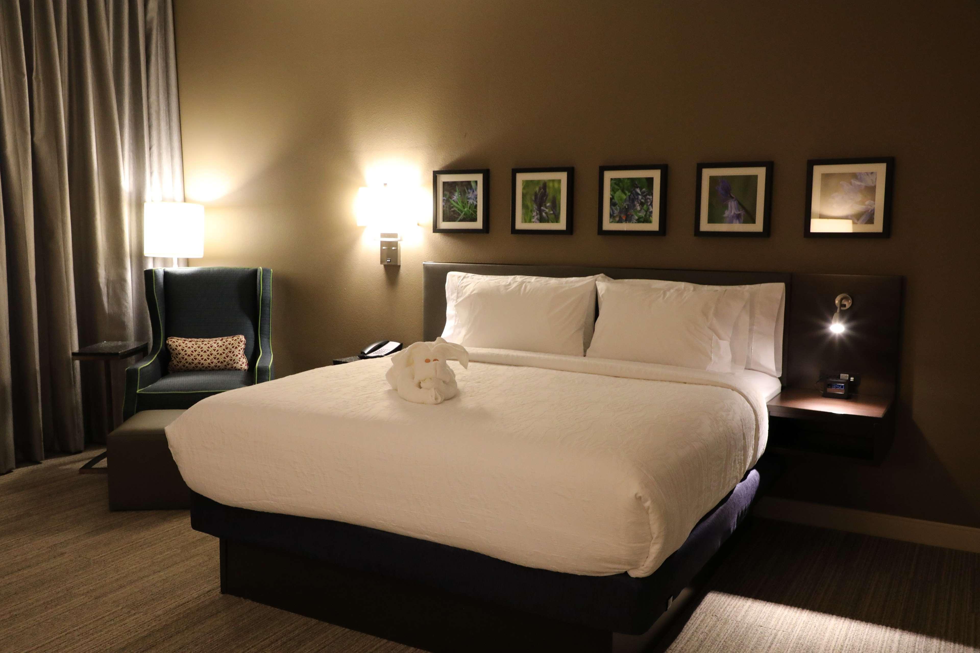 Hilton Garden Inn Austin Airport Ngoại thất bức ảnh
